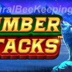 slot timber stacks