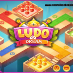 Ludo Dream Panduan Pemain