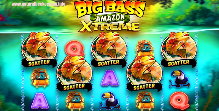 Big Bass Amazon Xtreme: Petualangan Liar di Hutan Amazon