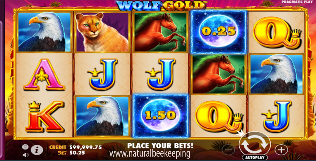 Jackpot Mengguncang Dunia