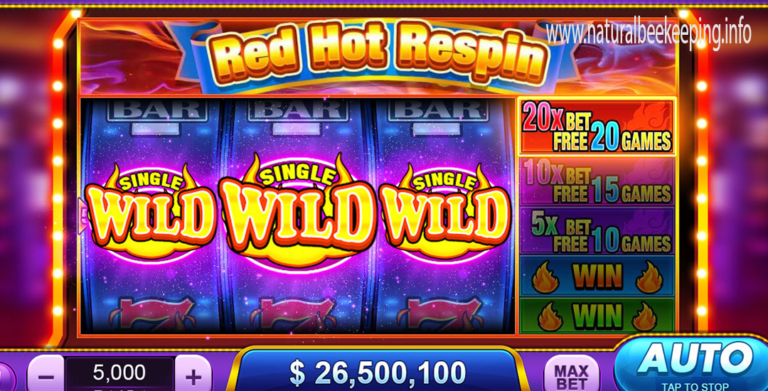 Wilds of Fortune Jackpot