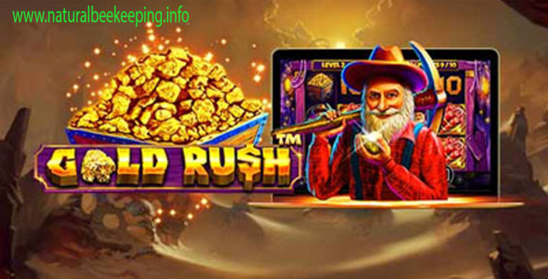 Gold Rush di Dollartoto
