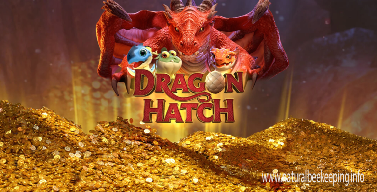 Dragon Hatch Slot Terbaru 2025 dengan Simbol Wild dan Scatter