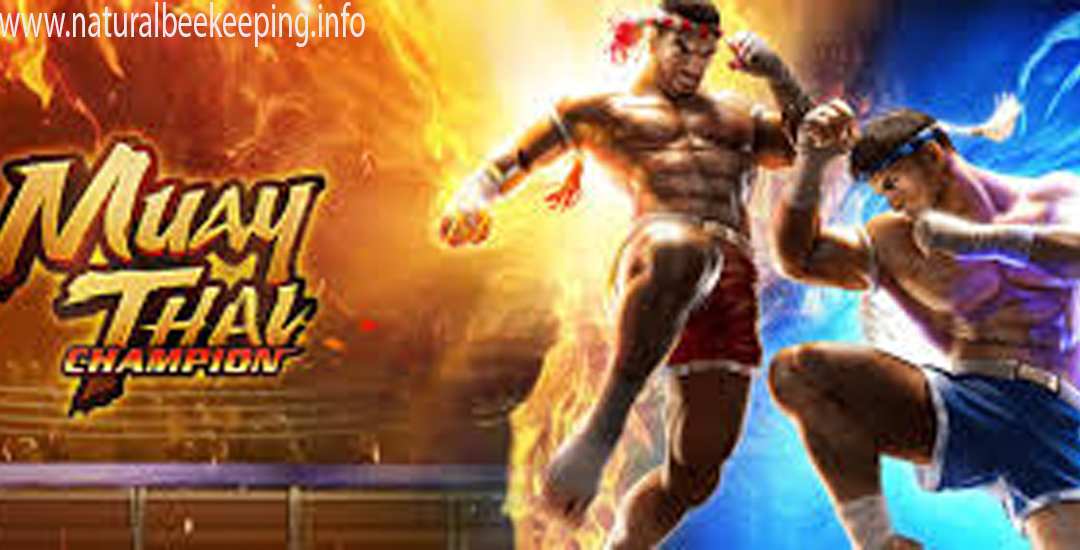 Muay Thai Champion Gacor 2025