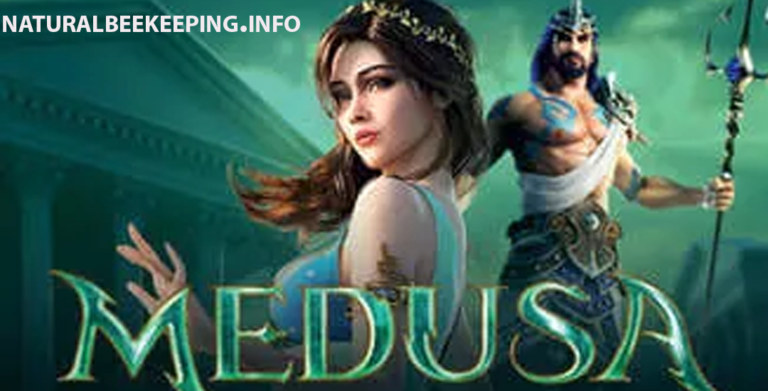 Tips untuk Bermain Dan Mekanisme Permainan Medusa PG Soft