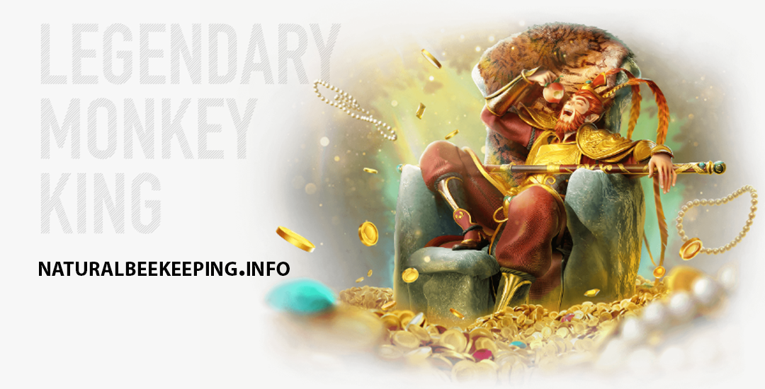 monkey king