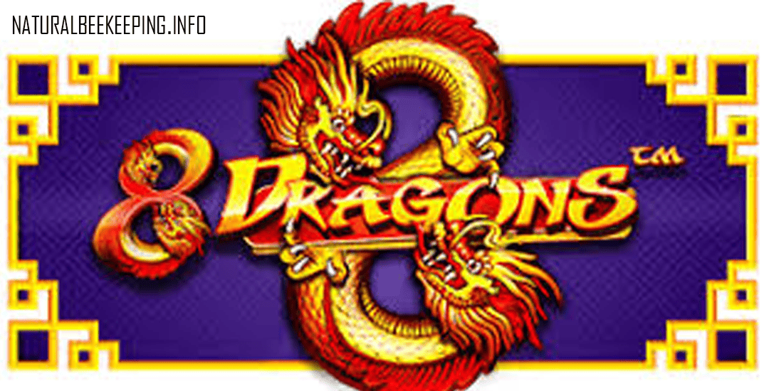 8 Dragons™