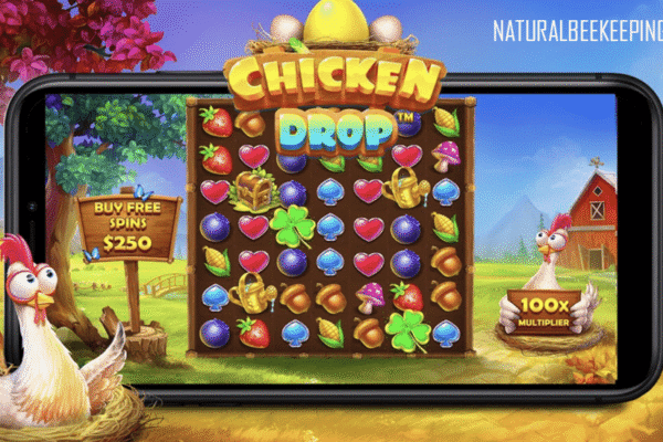 Chicken Drop®: Permainan Slot Seru Bertema Homestay dan Farm Chicken Drop®