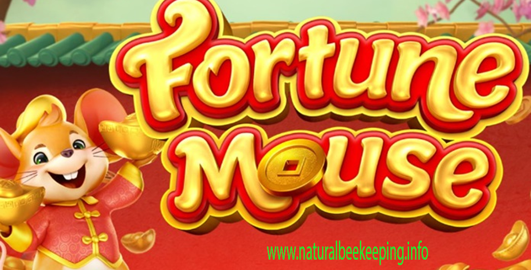 Fortune Mouse