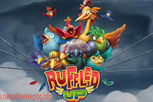 Ruffled Up Super Maxwin Jackpot Terbesar Hari Ini Milik Anda Ruffled Up