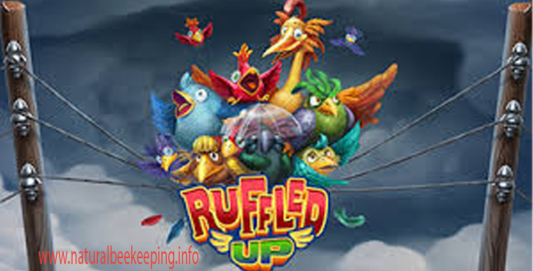 Ruffled Up