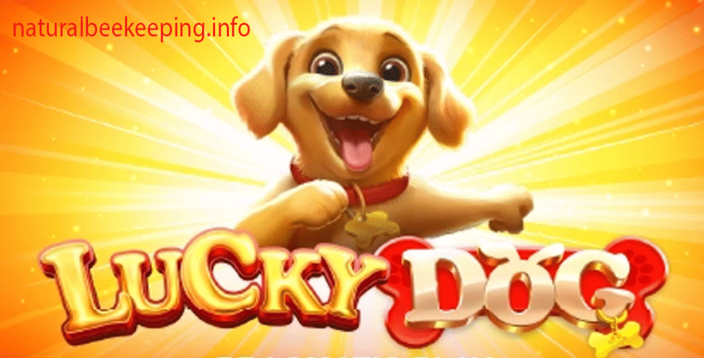 Pola Rahasia Lucky Dog