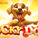 Pola Rahasia Lucky Dog