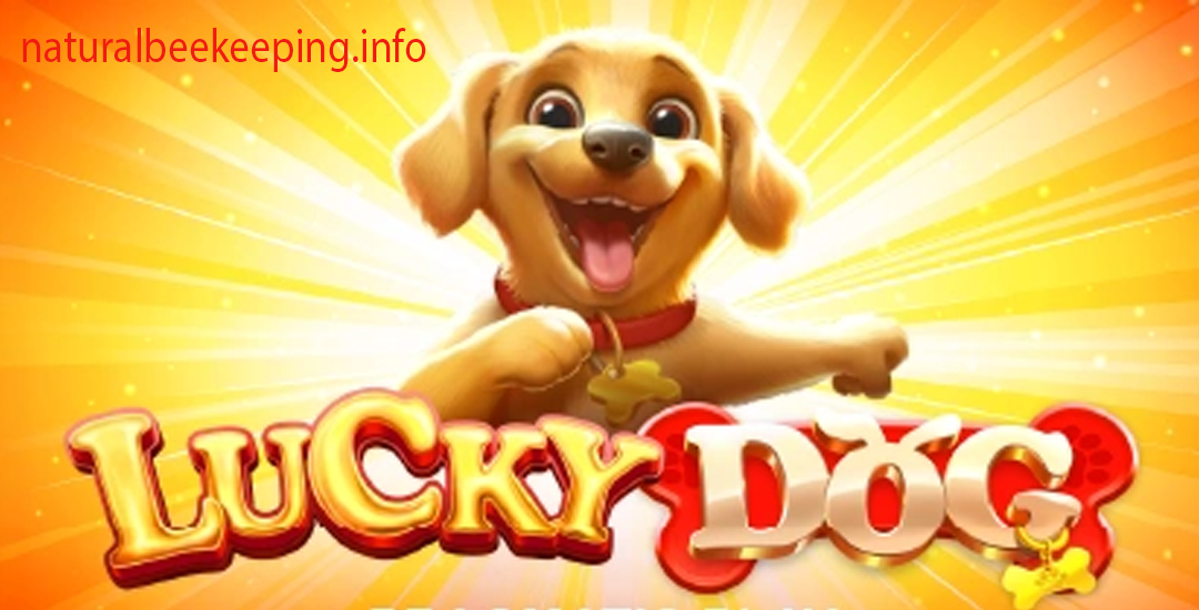 Pola Rahasia Lucky Dog
