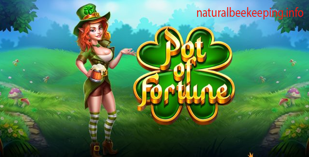 Pot of Fortune