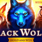 Black Wolf 2