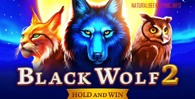 Black Wolf 2