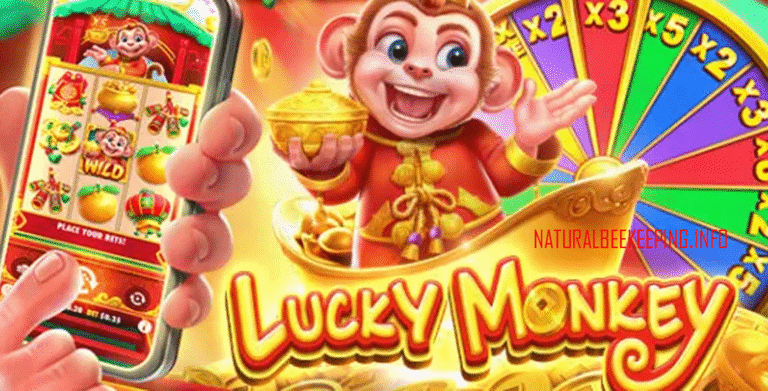 Lucky Monkey