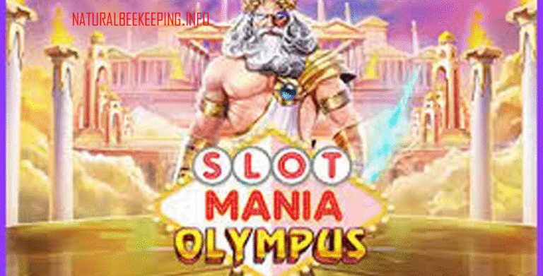 Slot Mania