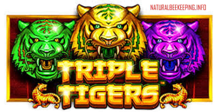 Triple Tigers
