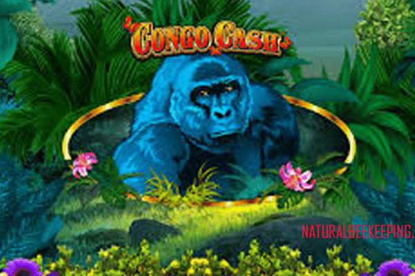 Congo Cash