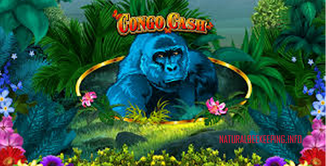 Congo Cash