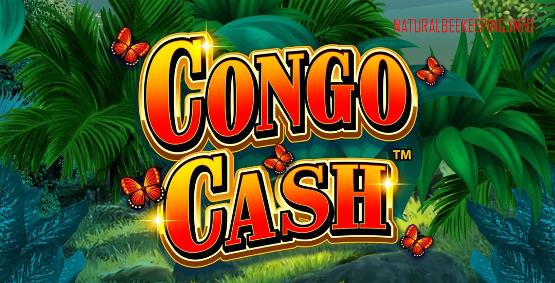 Congo Cash