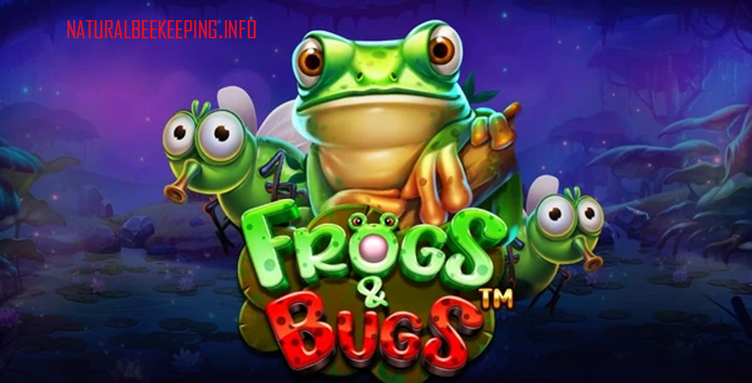 Frogs Bugs