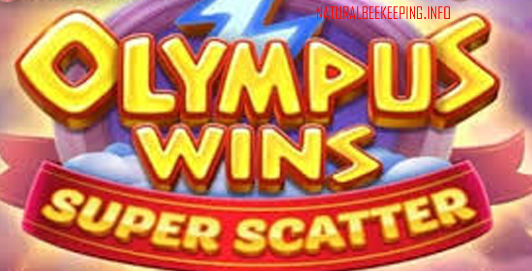 Olympus Wins