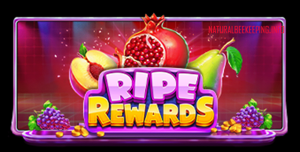 Rise Rewards