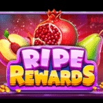 Rise Rewards