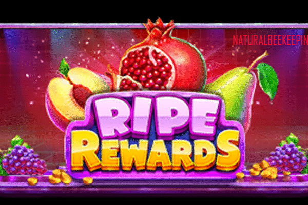 Rise Rewards