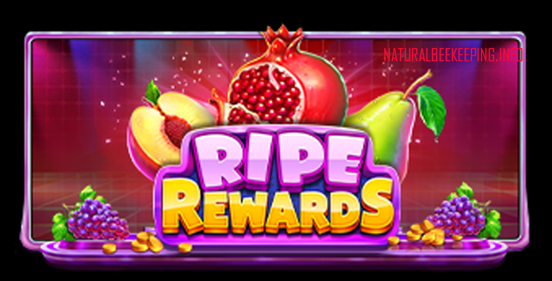 Rise Rewards