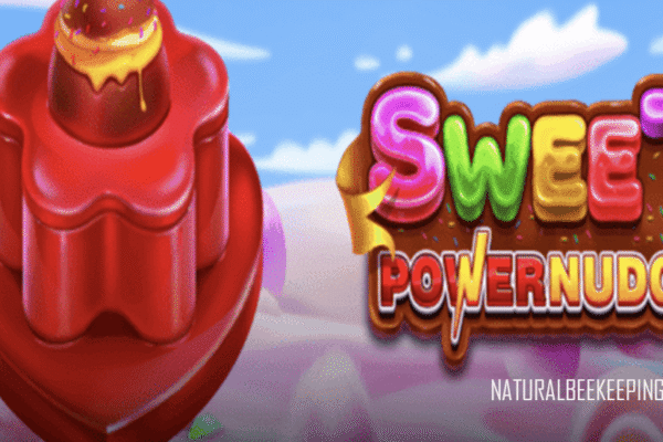Mengapa Sweet Powernudge Slot Menjadi Favorit Pemenang Jackpot Besar Sweet Powernudge