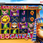 Cleocatra
