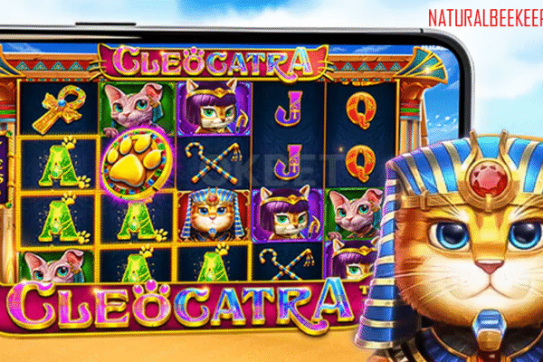 Cleocatra Slot Online dan Dollartoto: Tempat Paling Asyik Rasakan Sensasi Menang Jackpot Cleocatra