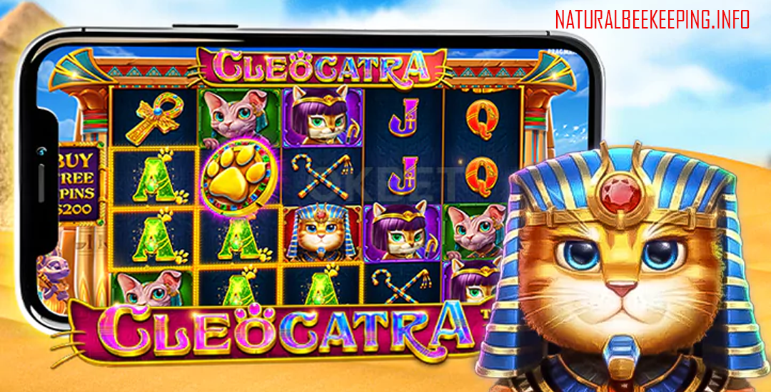 Cleocatra