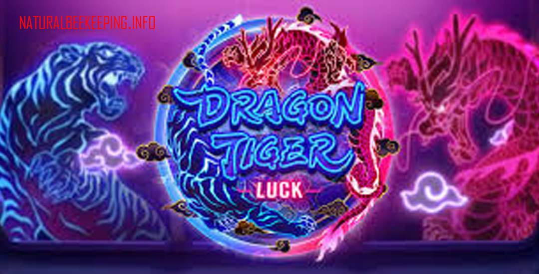 Dragon Tiger Luck