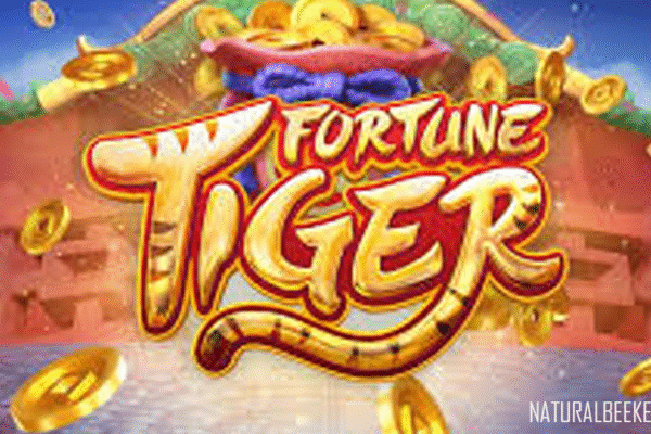 Slot Fortune Tiger Casatoto: Kesempatan Emas Menjadi Milioner Fortune Tiger