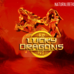 Lucky Dragons
