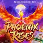 Phoenix Rises Menyala: Jackpot Besar Menanti di Slot PG Soft, Main di Dollartoto! Phoenix Rises