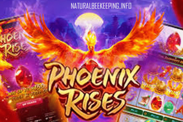 Phoenix Rises Menyala: Jackpot Besar Menanti di Slot PG Soft, Main di Dollartoto! Phoenix Rises