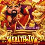 Jackpot Melimpah di Wealth Inn PG Soft dan Keseruan Menang di Totowayang Wealth Inn