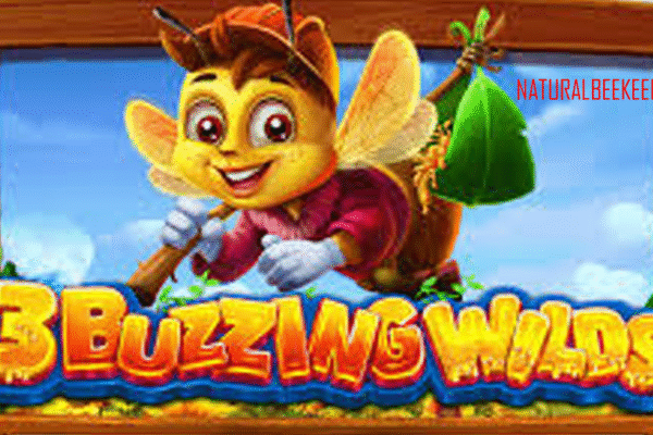 3 Buzzing Wilds