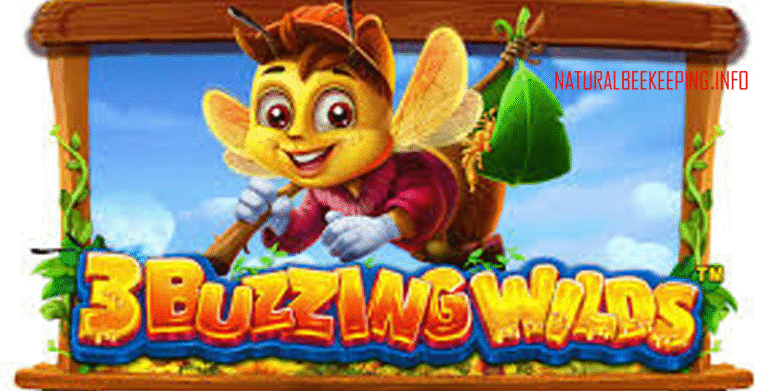 3 Buzzing Wilds