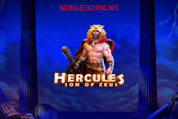 Hercules Son of Zeus