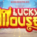 Lucky Mouse