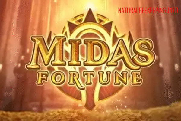 Midas Fortune