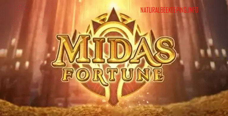 Midas Fortune