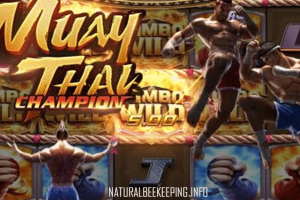 Muay Thai Champion